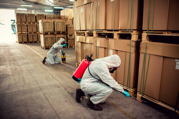 Best Residential Pest Control  in Brambleton, VA