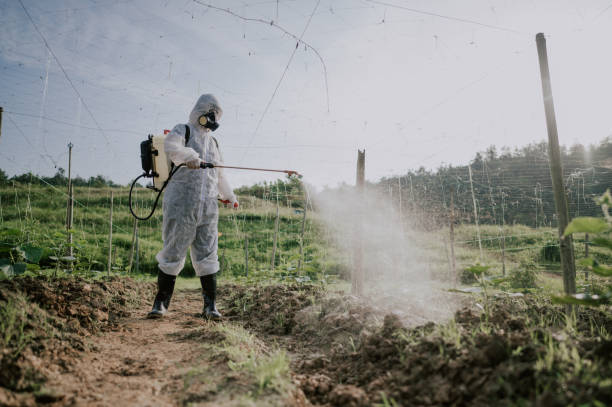 Best Ant Control Services  in Brambleton, VA