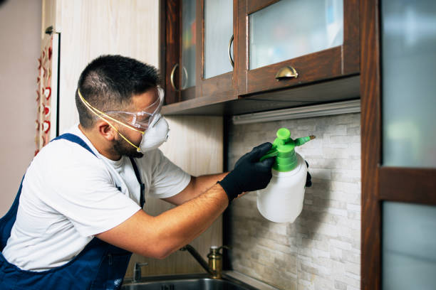 Best Wildlife Control Services  in Brambleton, VA