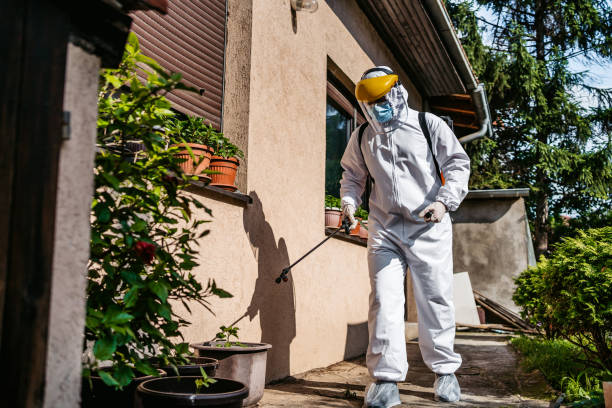 Best Exterminator Services  in Brambleton, VA