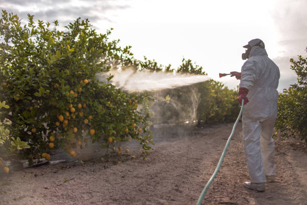 Best Affordable Pest Control Services  in Brambleton, VA