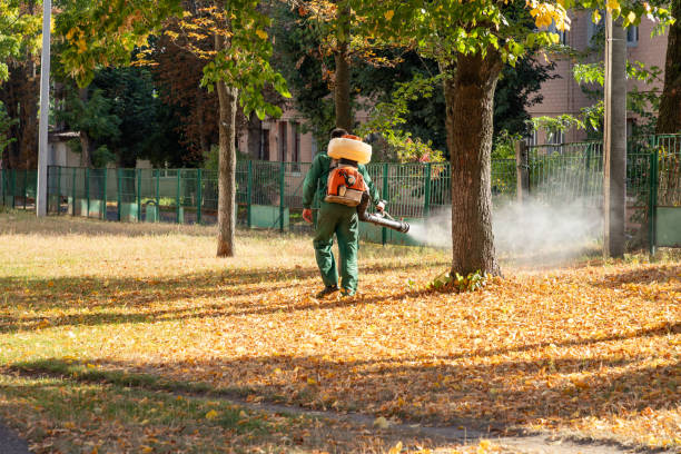 Best Best Pest Control Companies  in Brambleton, VA