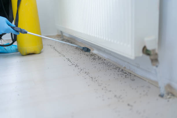 Best Pest Removal Services  in Brambleton, VA